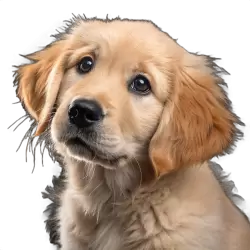 Imagen PNG para descargar